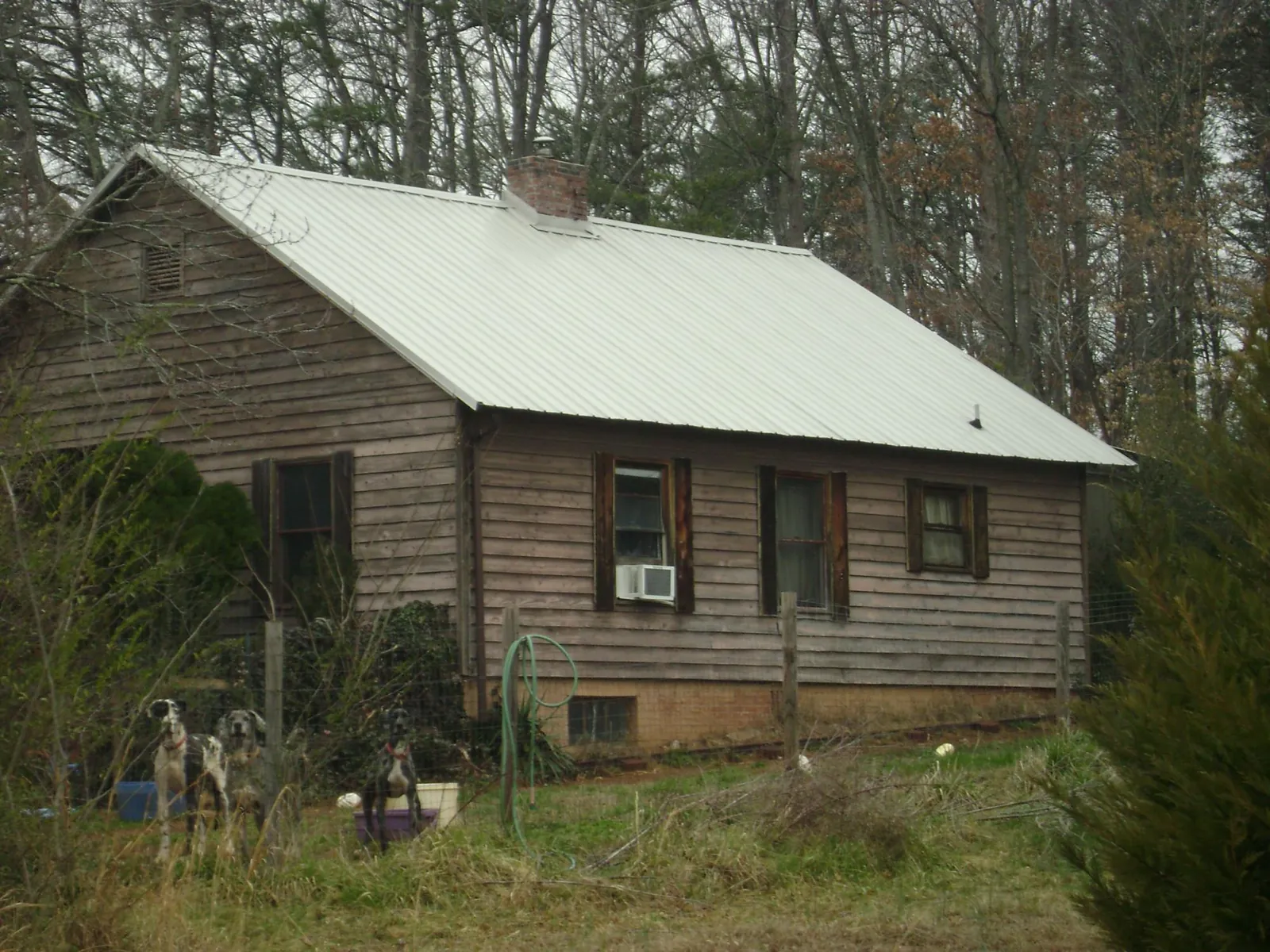 White metal roof on an old wood sided farmhouse, from a Asphalt Shingle Roof Repair job in Brownsburg